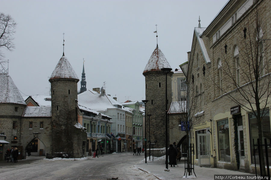 Таллин -знакомство за 1 день Таллин, Эстония