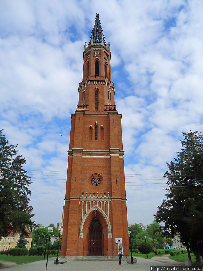 Башня костёла евангельской церкви на pl.Krolowej Jadwigi Жагань, Польша