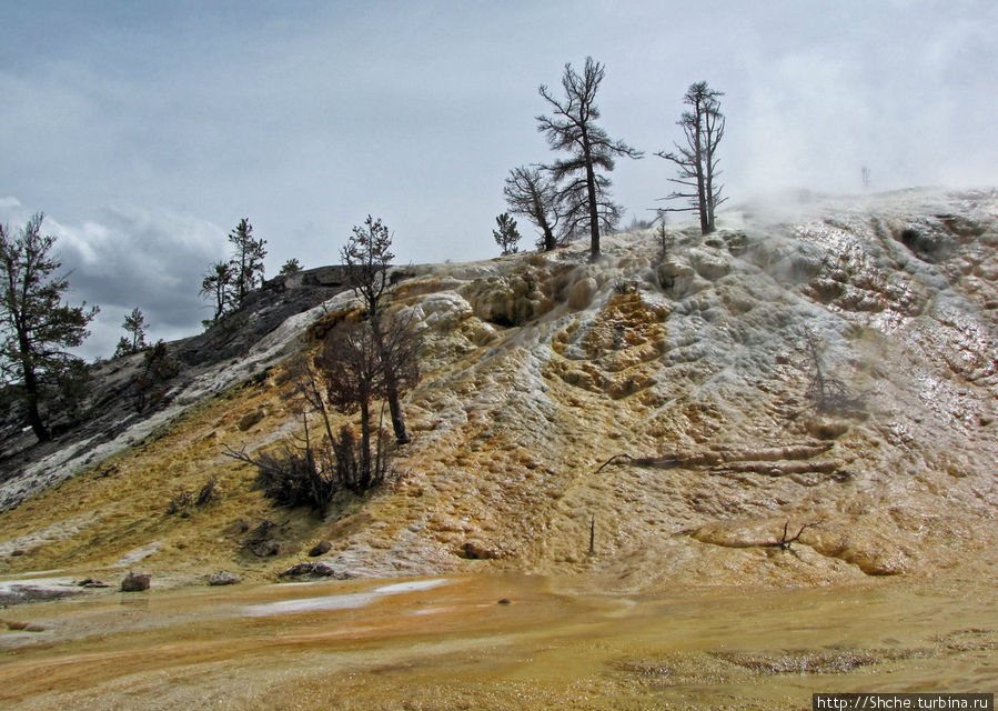 Террасы Мамонтовых горячих источников (Mammoth Hot Spring) Йеллоустоун Национальный Парк, CША