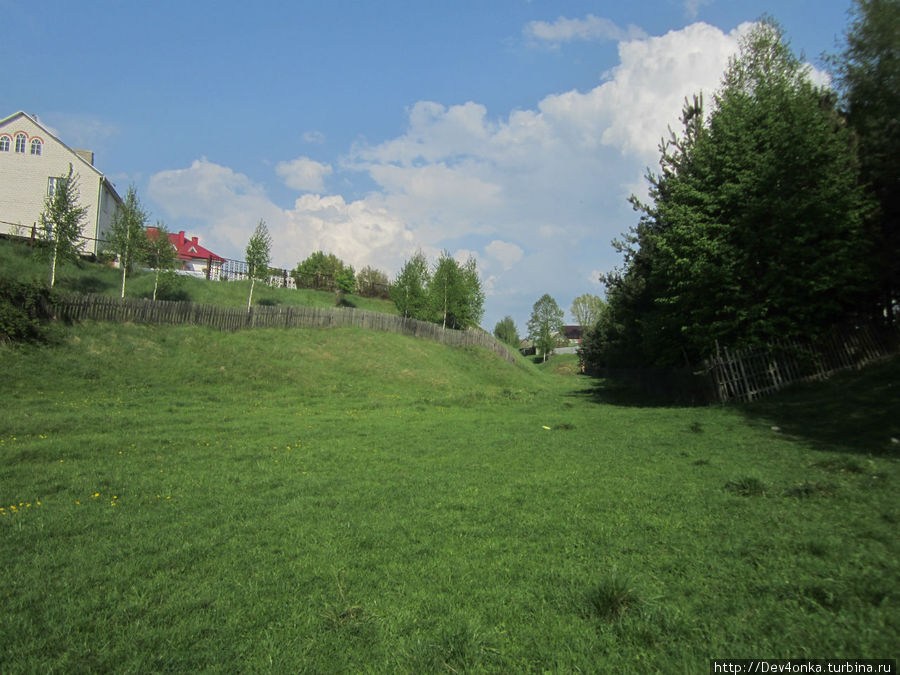 Зелёные поля в Супонево Брянск, Россия