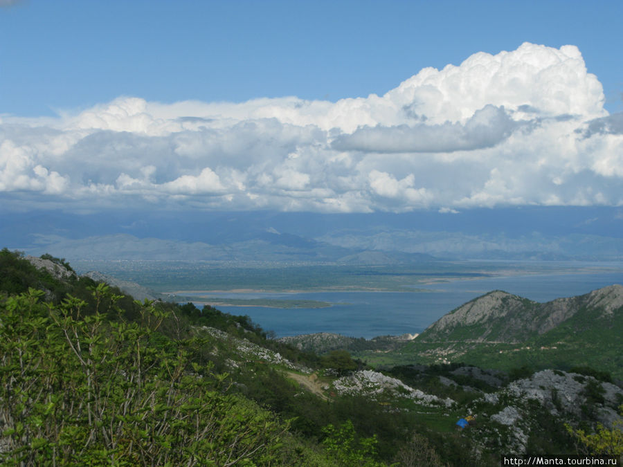 Петровац Петровац, Черногория