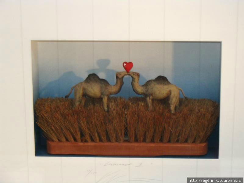 Замечательная композиция из швабры и верблюдов Мюнхен, Германия