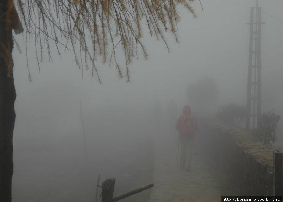 На следующее утро, словно зная, что нам нужно было идти вниз, погода испортилась, сгустился туман (а может, просто прилетело облако) и в его ватных объятиях мы отправились вниз по тропе. Непал