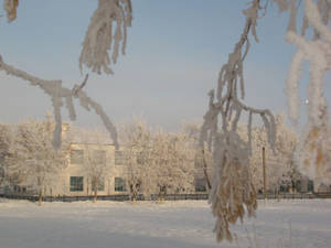 Вид на краснознаменную школу № 5, самую старую школу города Еманжелинск.