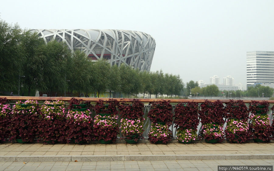 Все то, что еще удалось рассмотреть в туманном Пекине. Пекин, Китай
