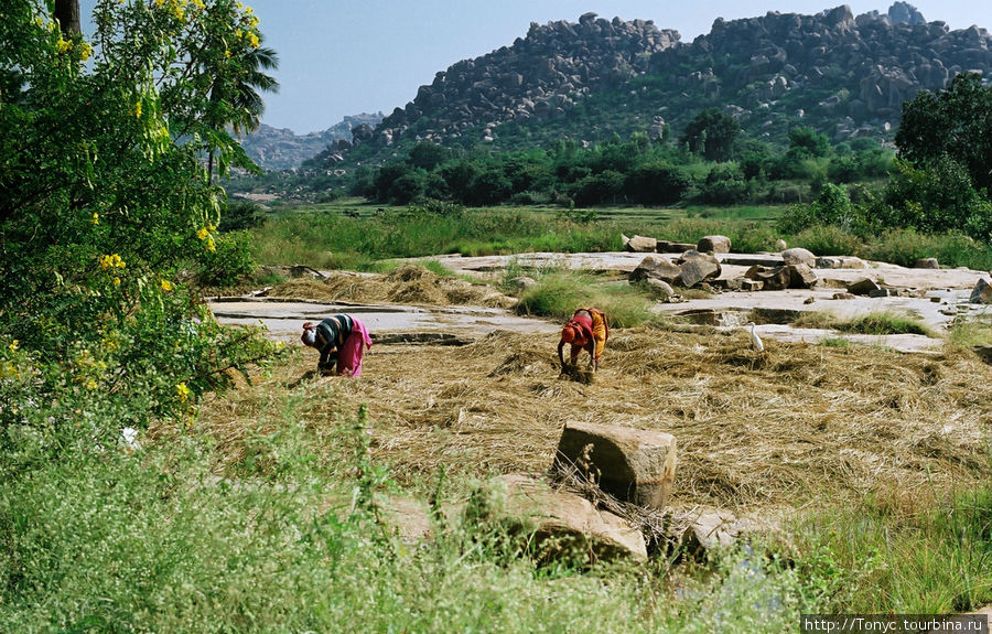 Меж глыб даже есть место для выращивания продуктов. Не камнями же питаться. Хампи, Индия