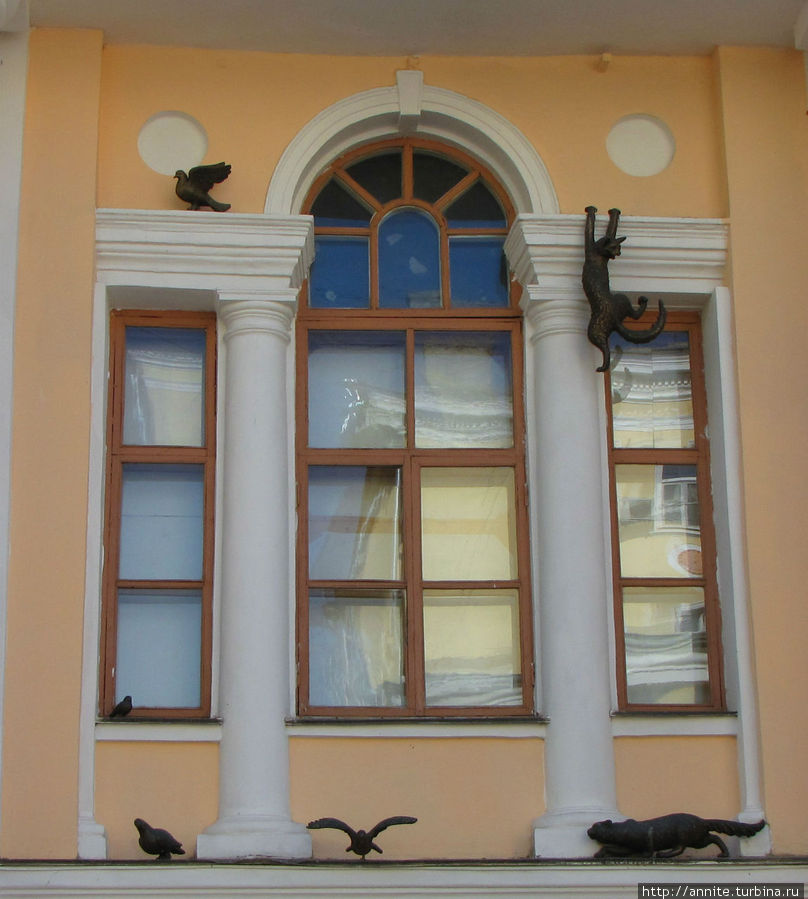 Коты охотятся на голубями на карнизе Учебного театра. Нижний Новгород, Россия