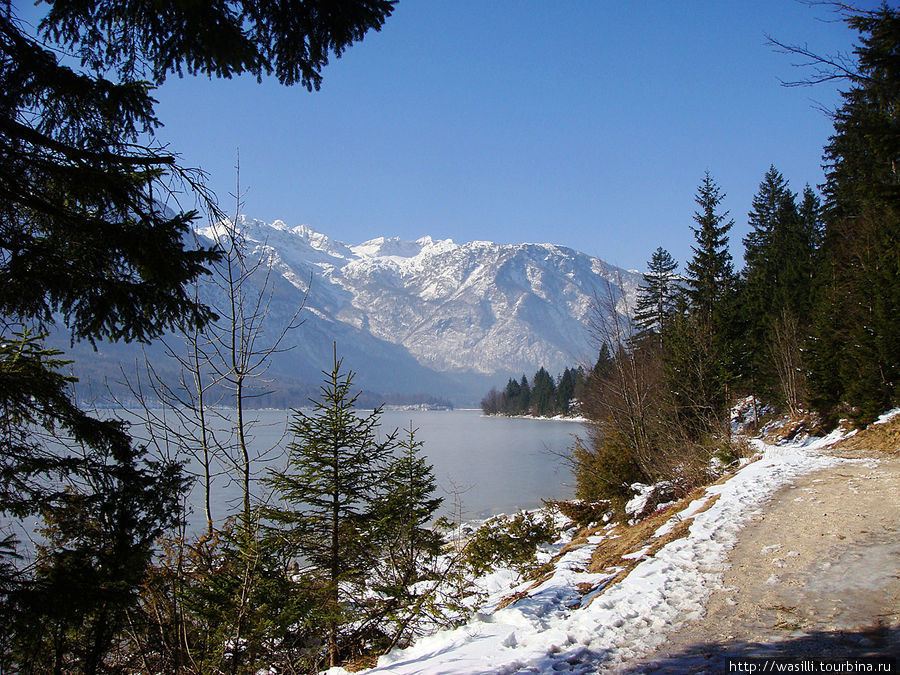Озеро Бохинь. Юлийские Альпы, Словения