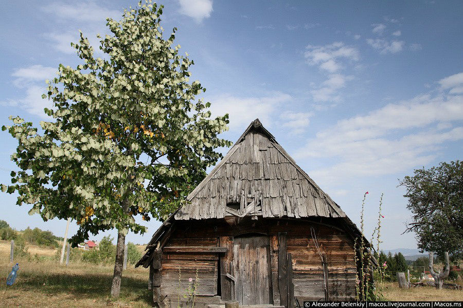 Я остановился у дороги, чтобы сфотографировать милый маленький домик. Черногория