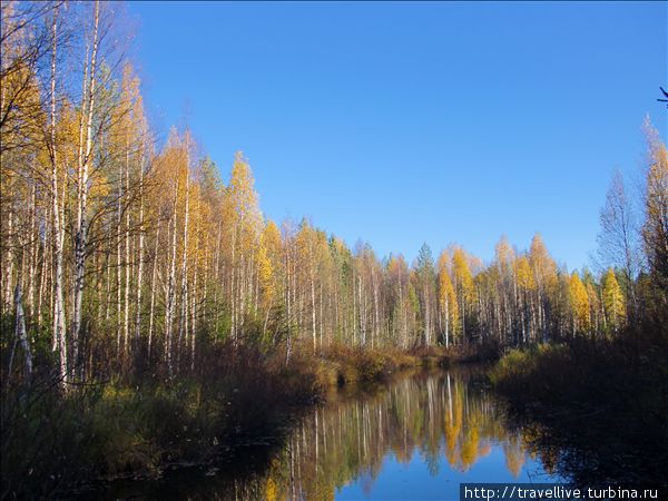 Экспедиция на квадроциклах 