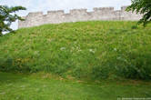 Крепостные стены Йорка сохранились весьма хорошо. В ряде мест на них можно совершенно бесплатно подняться и совершить легкий променад.