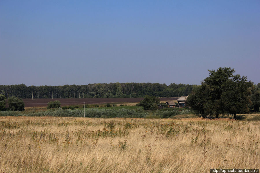 Крестищи Тульская область, Россия