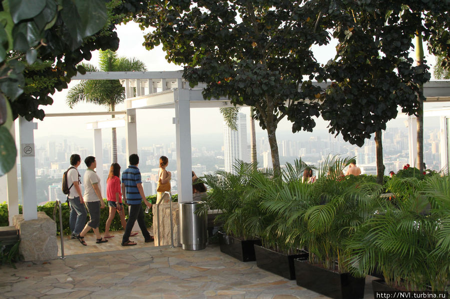 ...с более, чем 500 видов редких растений. Сингапур (город-государство)