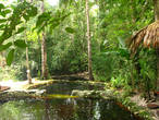 По возвращении из джунглей мы решили осмотреться в эколодже. Оказалось, что через его территорию протекает ручей и местные устроили в нем купальню