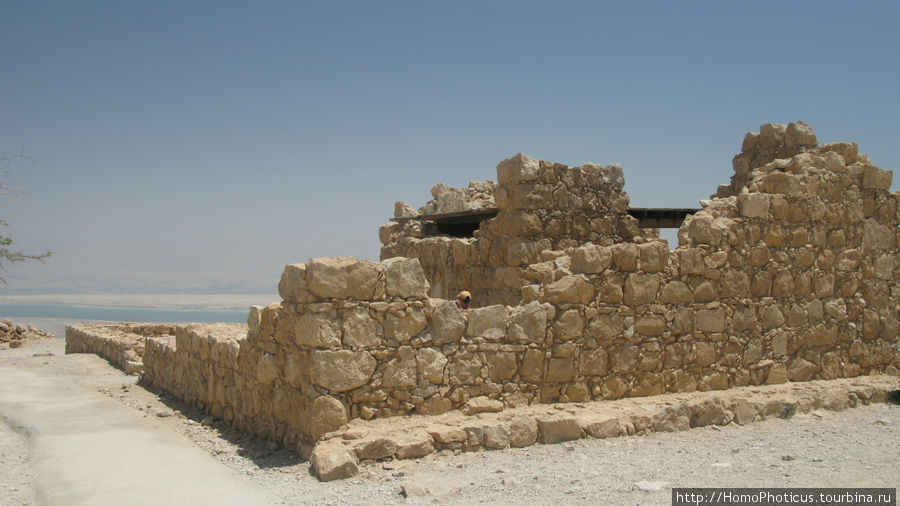 В Масаде Мертвое море, Израиль