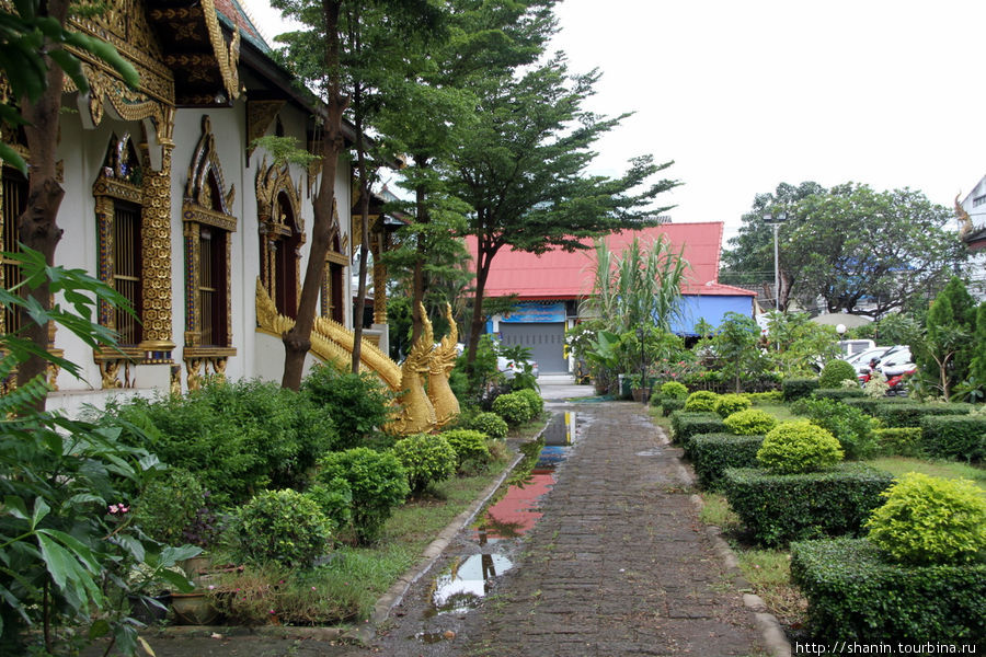 Ват Чиангман - старейший монастырь города Чиангмай, Таиланд