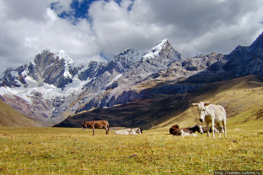 Треккинг в Перу. Cordillera Huayhuash. Окончание Перу