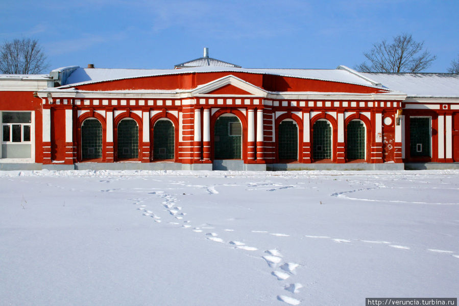 Обворожительность зимней Гатчины Гатчина, Россия