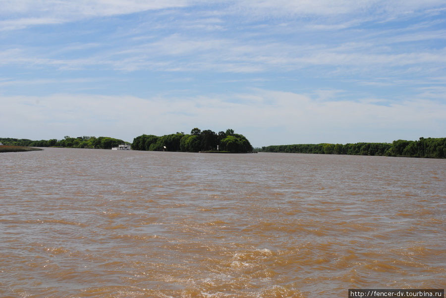 Желтые воды Параны Тигре, Аргентина