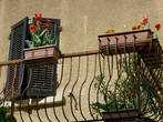 Вы часто видели тюльпаны в балконном горшке? Я единственный раз и поэтому сняла