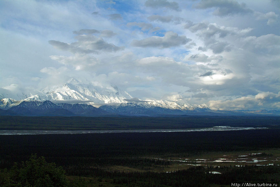 За долиной и предгорьями виден Аляскинский хребет с большущей горой Маккинли по центру Национальный парк Денали, CША