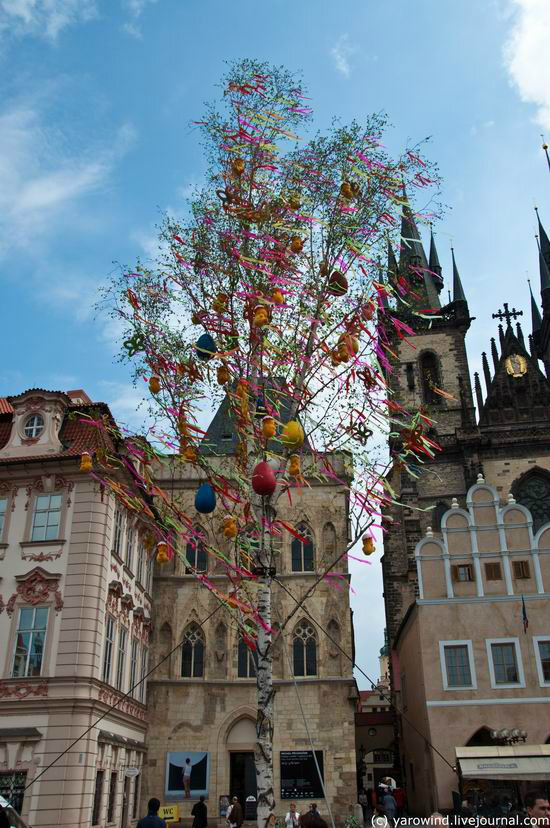 Пасхальная береза с пасхальными же яицами. Прага, Чехия