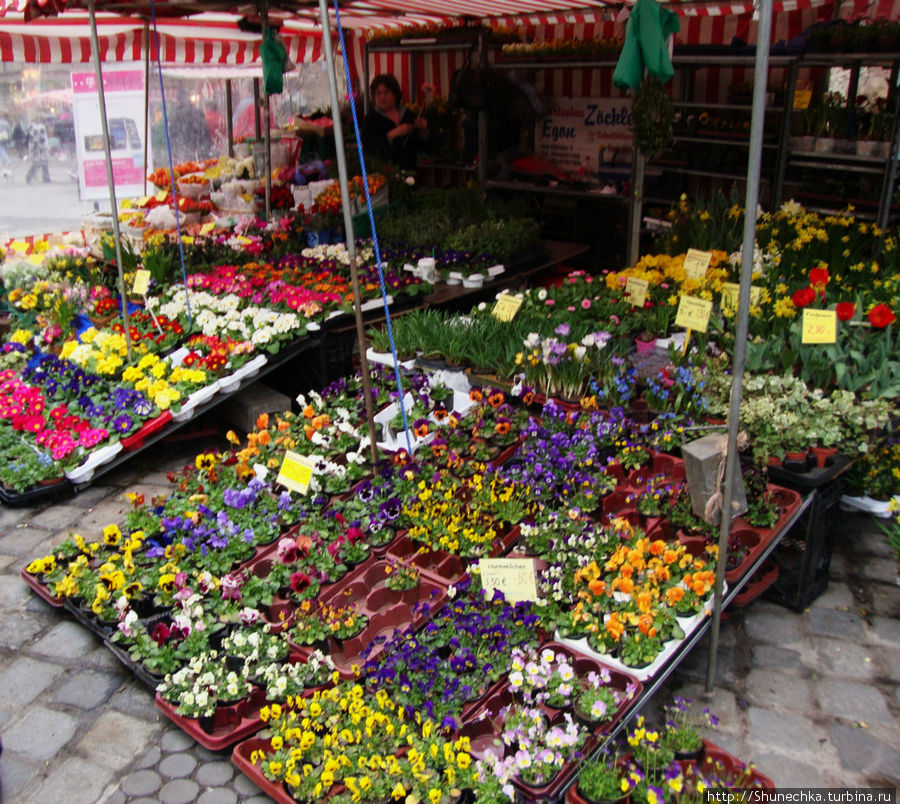 Улицы города изобилуют цветами перед праздником Пасхи Нюрнберг, Германия