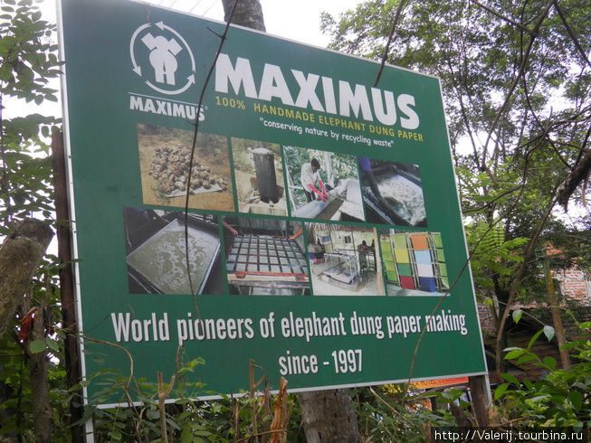 Sri Lanka (4). Рекламная продукция из слоновьего дерьма! Канди, Шри-Ланка