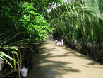 Протоки Меконга