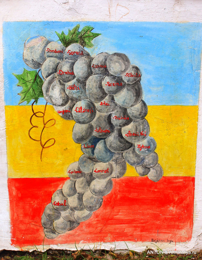 Одна из картинах.На виноградных ягодках написаны названия молдавских городов. Сороки, Молдова