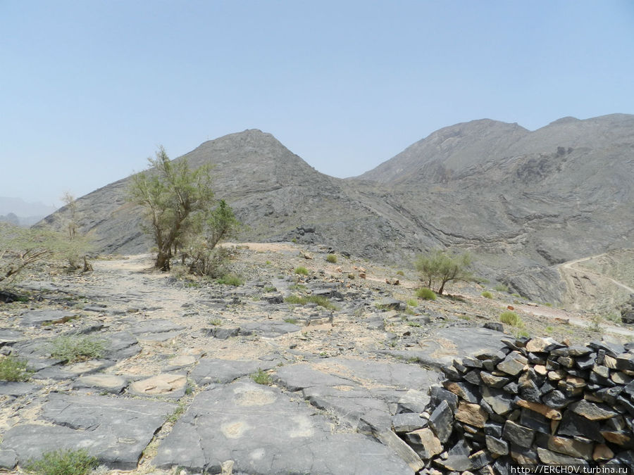 Воспоминания о Султанате  Часть 3 В горах Регион Аль-Батина, Оман