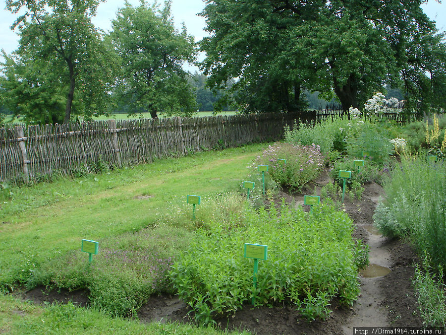 У домов настоящие огороды. Румшишкес, Литва