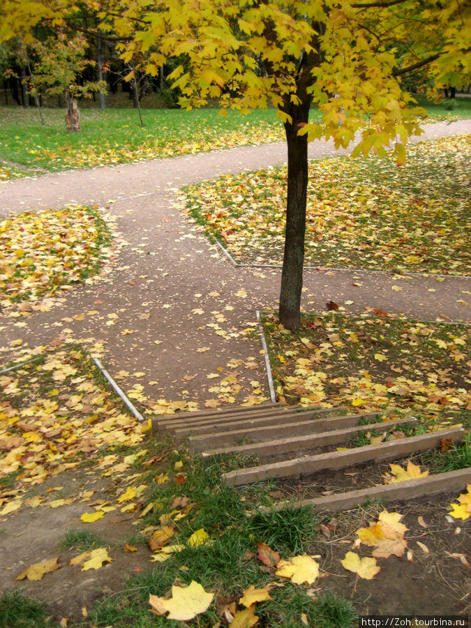 Осень отразилась в прудах Воронцовского парка. Москва, Россия