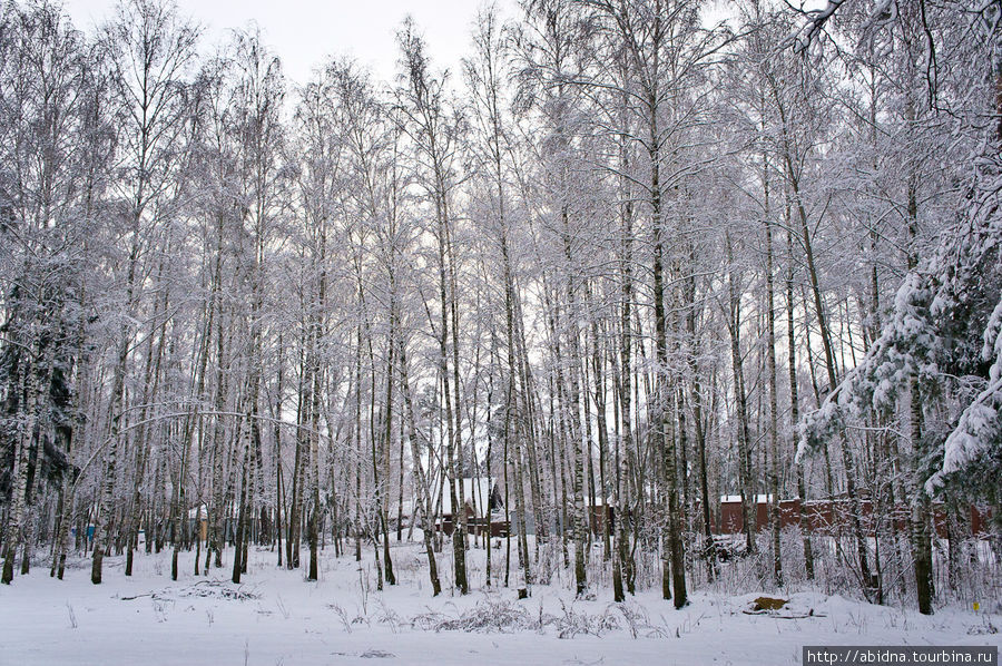 Новогоднее утро в Подмосковье Балашиха, Россия