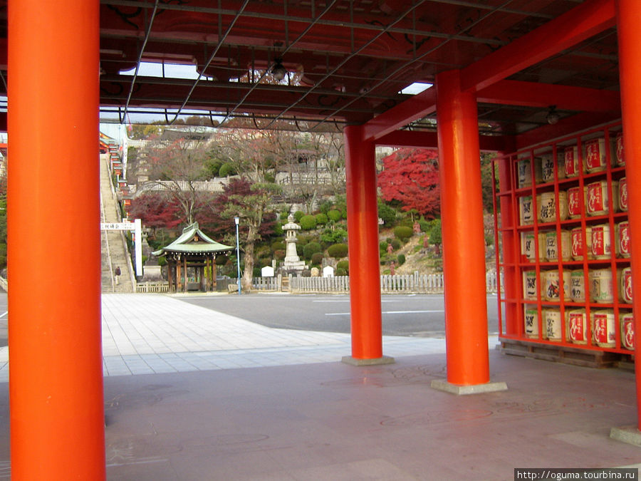 Храм Наритасан в городе Инуяма. Сакура цветущая в ноябре!