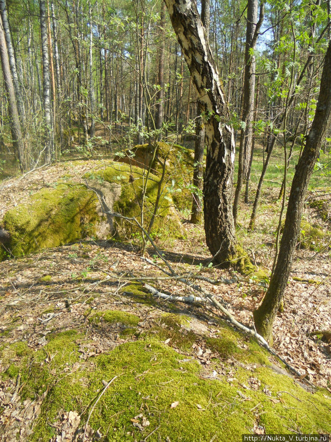 Каменное село геологический парк Рудня-Замысловичская, Украина