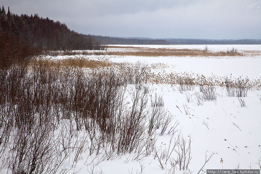 Вид на Лекшмозеро со смотровой вышки Морщихинская, Россия