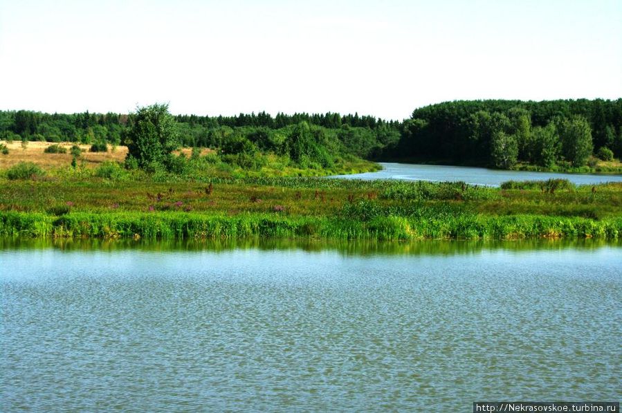 Река Черная в селе Черная Заводь (левый берег) Черная Заводь, Россия