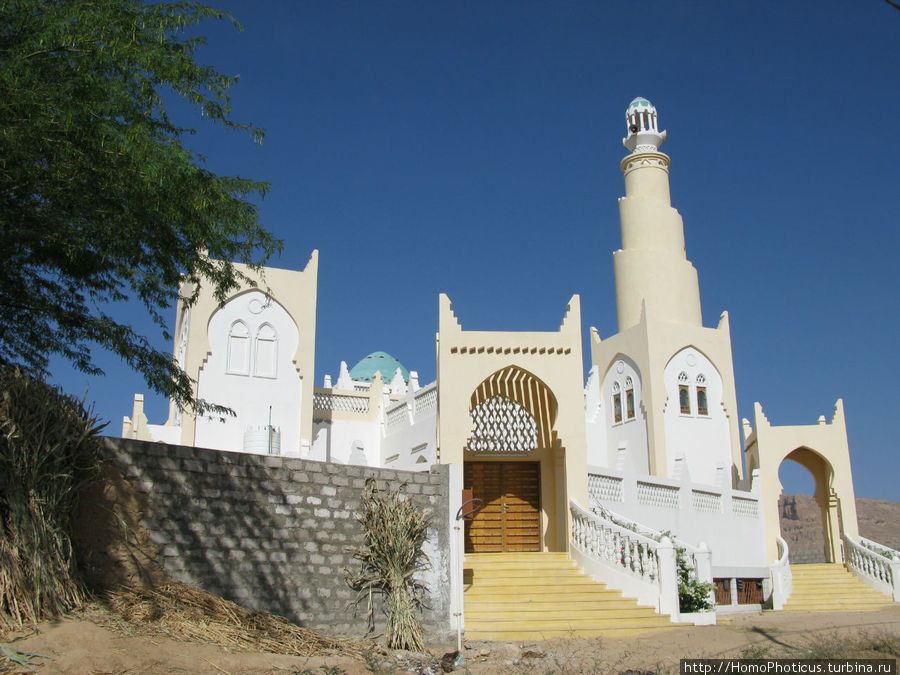 Тарим Провинция Хадрамаут, Йемен