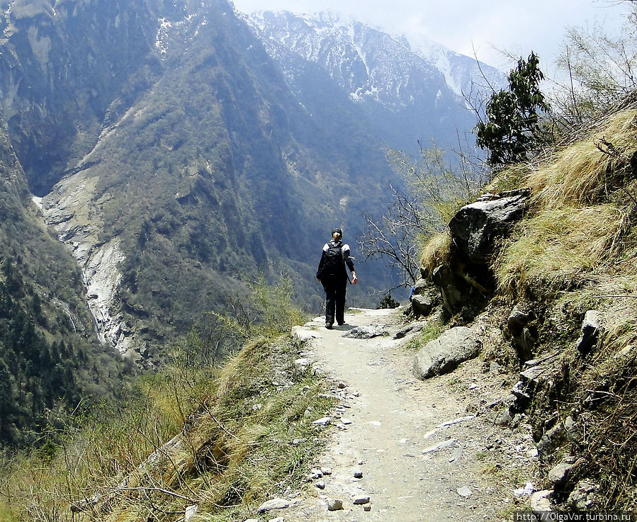 На тропе. Хотя переход этого дня был короткий и достаточно несложный, но набор высоты приближался уже к отметке 3 000 метров. А на этой высоте уже могут появиться признаки горной болезни. Поэтому идем  не спеша, прислушиваясь к себе... Национальный парк Аннапурны, Непал