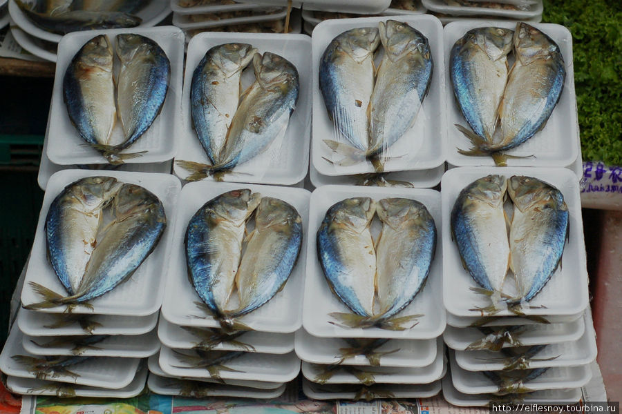 Эти рыбки здесь повсюду, но пробовать рыбу на жаре не решился. Бангкок, Таиланд