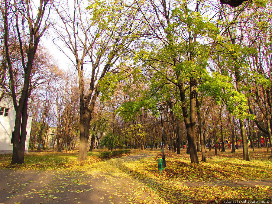 Осенний Харьков, ноябрь 2011 Харьков, Украина