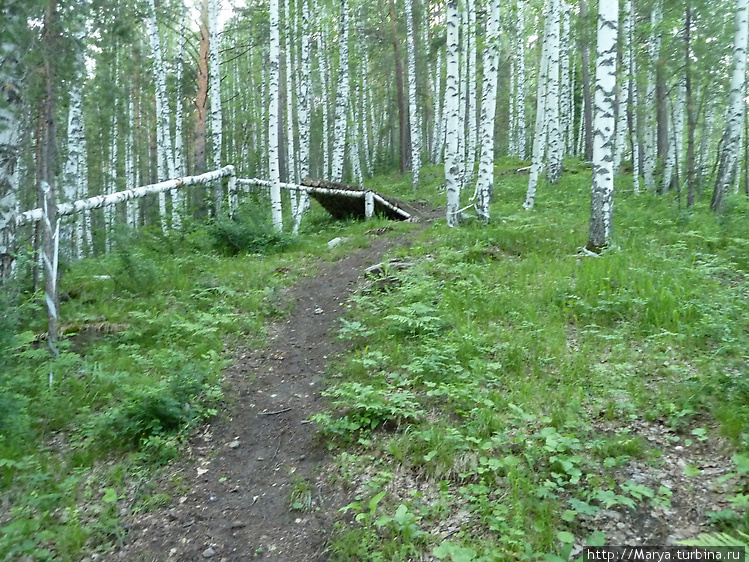 велосипедная дорожка с г.