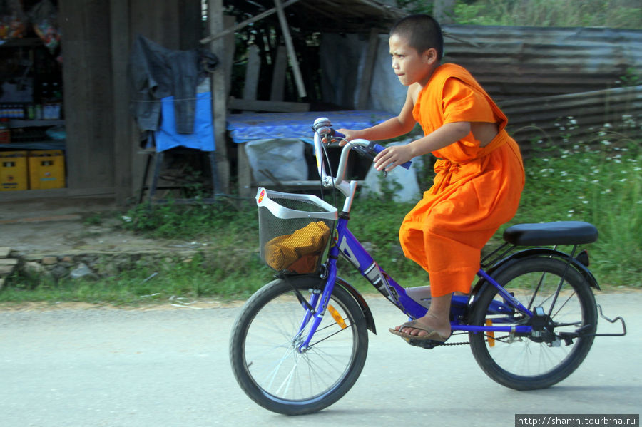 Молодой послушник на велосипеде Пхонсаван, Лаос