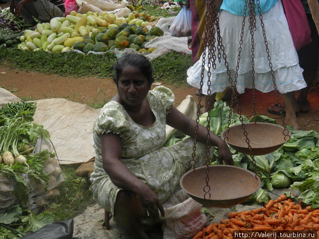Хотите почувствовать страну – идите на рынок! Шри-Ланка