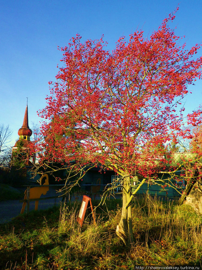 Скансен. Осенняя прогулка по музею. Стокгольм, Швеция