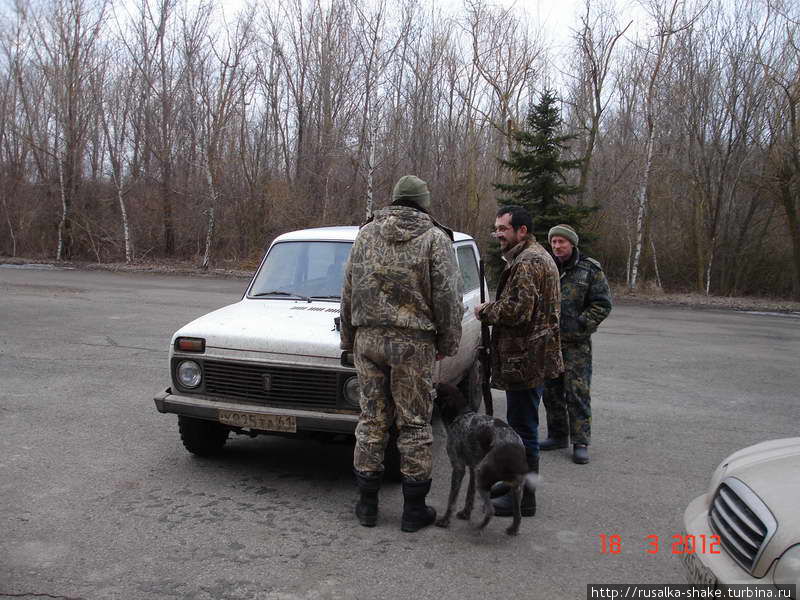 Охота на фазана Пролетарск, Россия