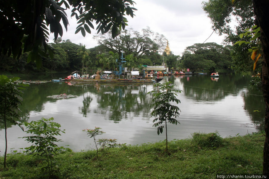 Городской парк с озером Янгон, Мьянма