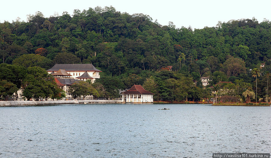 Вокруг озера Канди Канди, Шри-Ланка