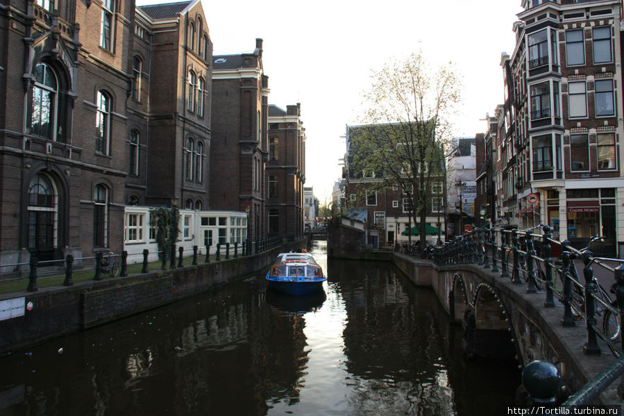 Нидерланды. Амстердам. Амстердам, Нидерланды